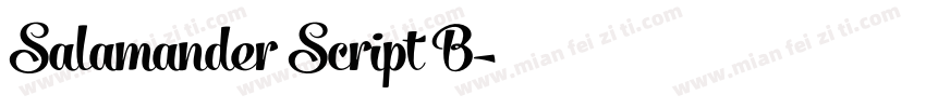 Salamander Script B字体转换